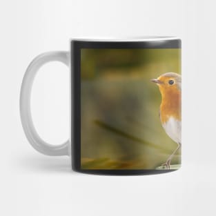 Robin Redbreast Mug